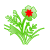 Blumen