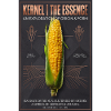 Kernel Essence: Origin & Form