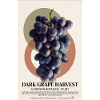 Dark Grape Harvest