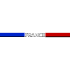 Frankreich fan flagge trikot