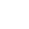 Chihuahua « Édition Noire »