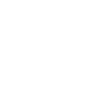 Bull Terrier « Édition Noire »