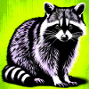Waschbär