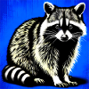 Raccoon