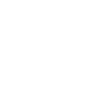 Line Dance Mein Spirit
