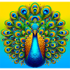 peacock