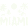 Palmiers de nuit de Miami