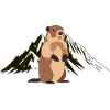 Alpine Marmot Adventure