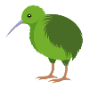 Kiwi-Vogel