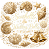 Seashells & Wedding Bells – Maritimer JGA