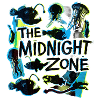 The Midnight Plastic Zone