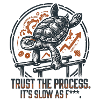 Calisthenics Turtle