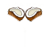 Coconut Zipper Joke Graphic Tee