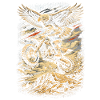 Dirtbike Dirt Bike Motocross
