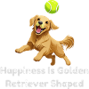 Golden Retriever Joy Tennis