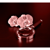 Fleurs d’orchidée et loupe