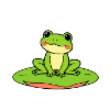 Cute Frog