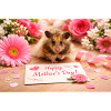 Chico 11: Mother's Day 2026