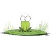 Frog on lily pad