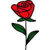 Minimalist Rose
