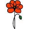 Minimalist Poppy