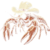 Crawfish Cowboy Cajun Seafood Crawfish Cowbo