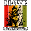 I Love British Shorthair