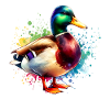Mallard Motif