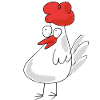 cute chicken chickens