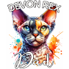 Papa Devon Rex