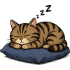 Sleeping cat on pillow
