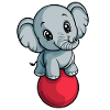 Elephant balancing on red ball