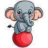 Elefant mit Ball