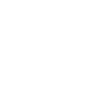 Geometric Wolf Head Facets