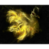 Golden Phoenix in flames