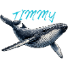 Timmy the Whale – Sea Friend