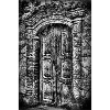 Gothic Ivy Door in Monochrome