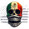 Mexico Pride & Home Mexican Mexico Flag