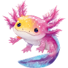 Axolotl