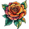 Rose Blossom