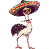 Ostrich Comic Funny Sombrero