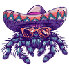 Tarantula Comic Funny Sombrero