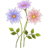 Fleur