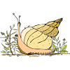 snail