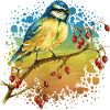 Bunter Vogel