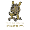 Calisthenics Strong Turtle