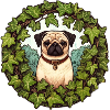 Mops im Efeukranz