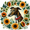 Greyhound in Sunflower Ring