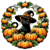Pumpkin Circle Witch Cat