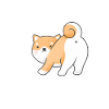 Shiba Inu Dog Therapy